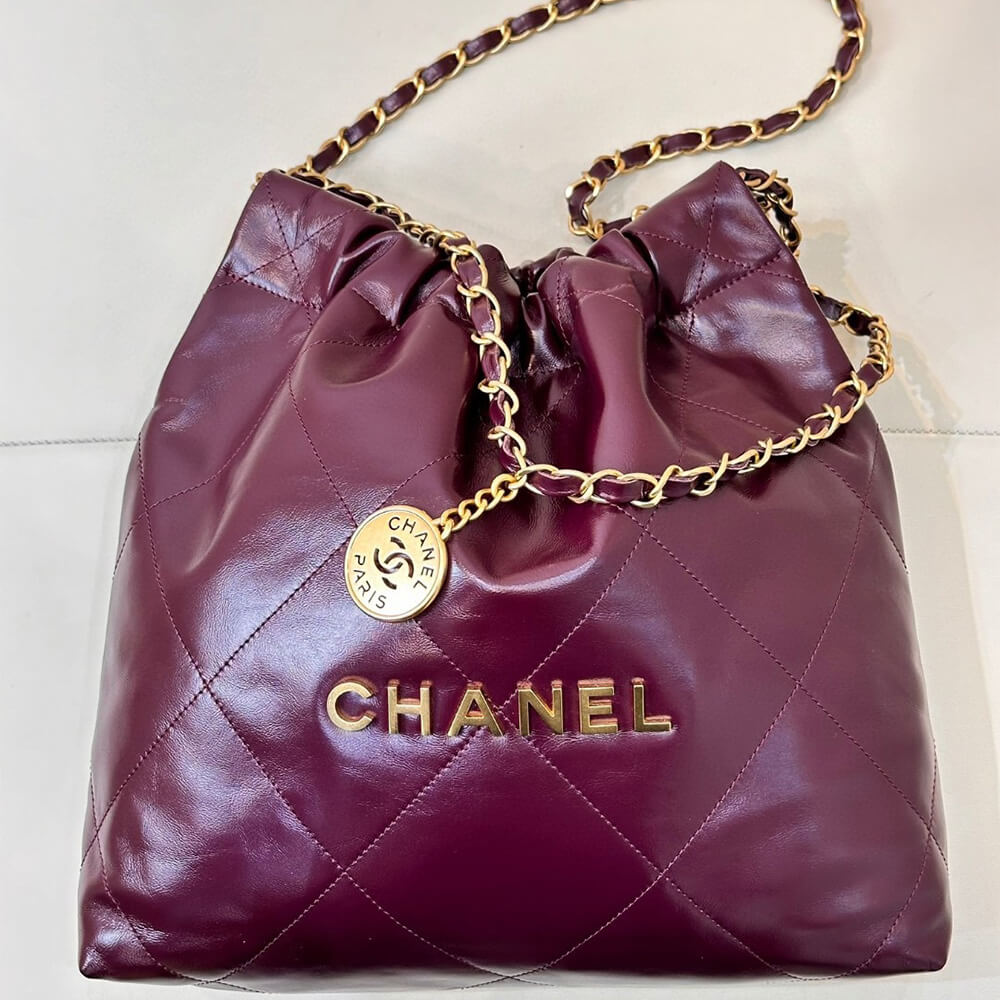 CHANEL 22 HANDBAG(high-end grade)