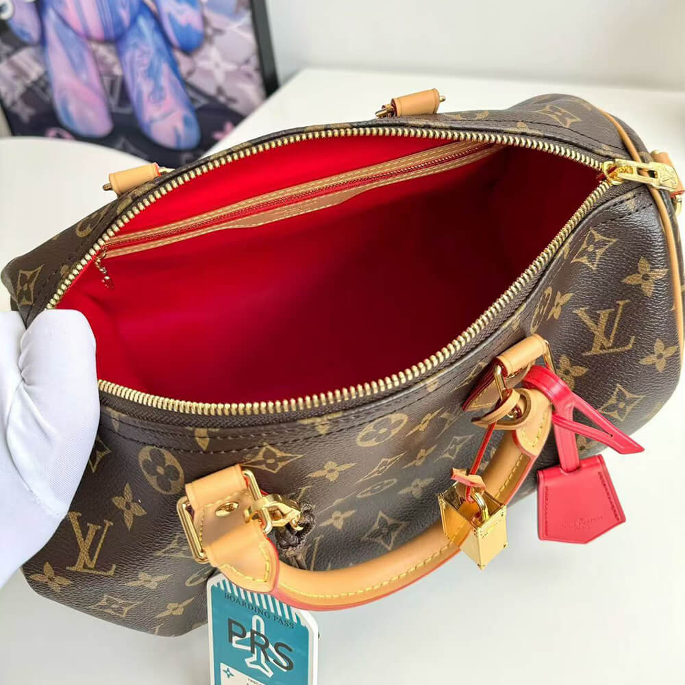 LV Speedy Soft 30 Crafty